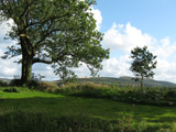Glyn Cynwal Isaf Cottage